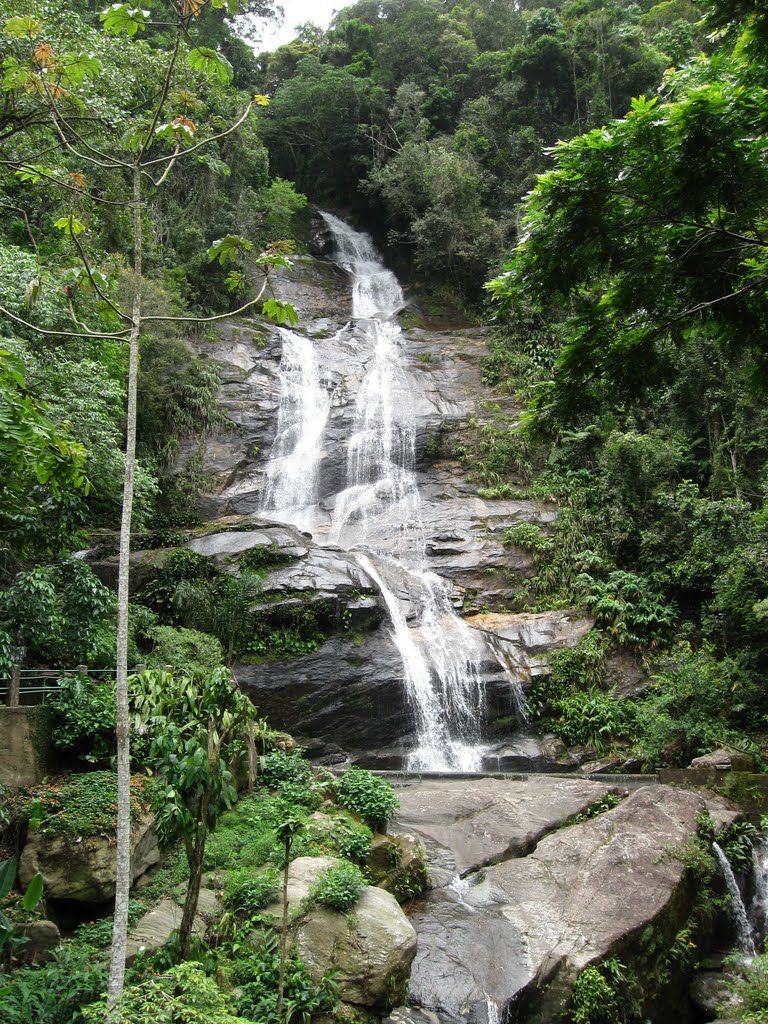 Parc national de Tijuca