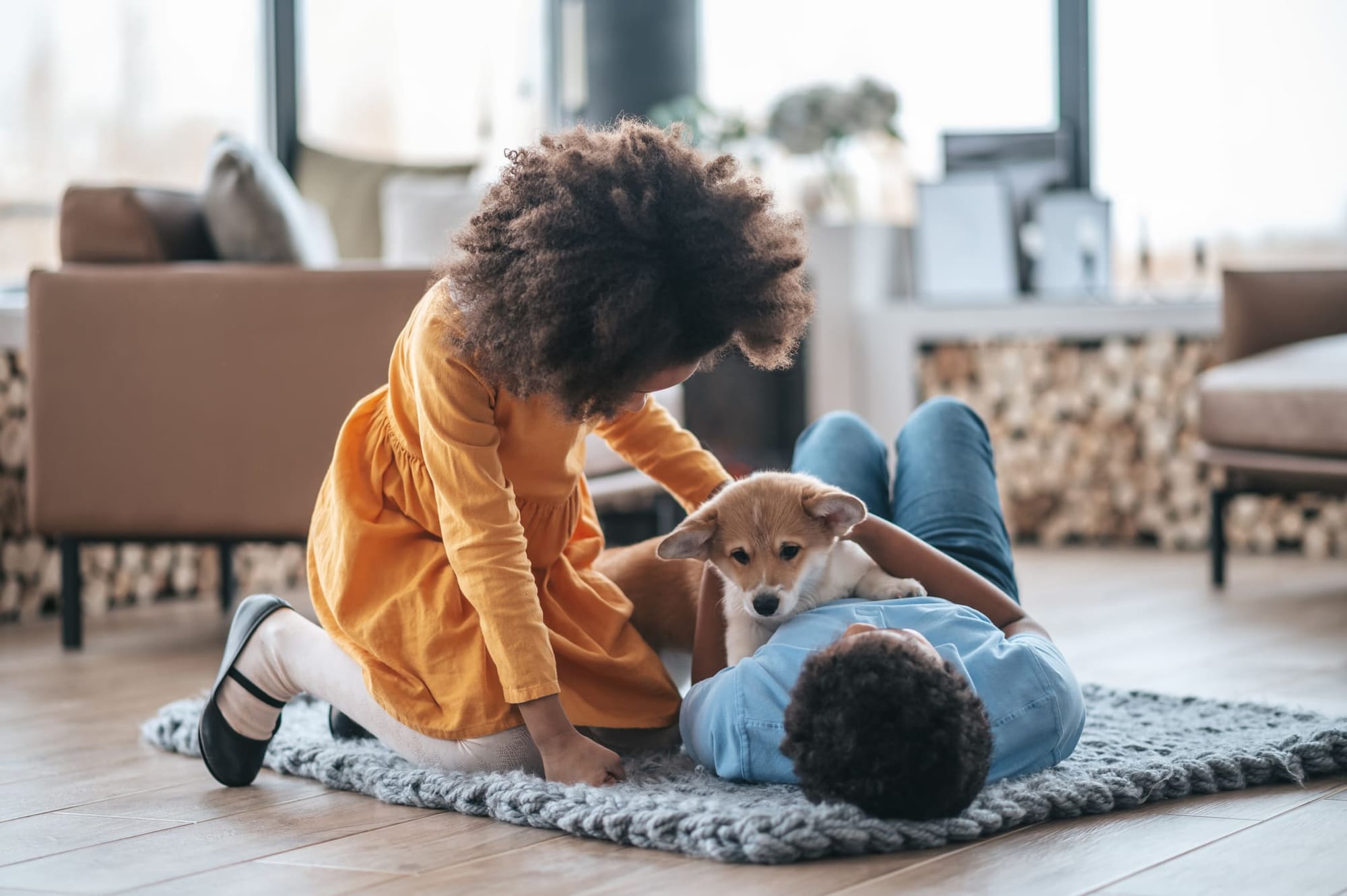 Kinderen spelen thuis met een hond - huisdierenoppas dankzij huisruil